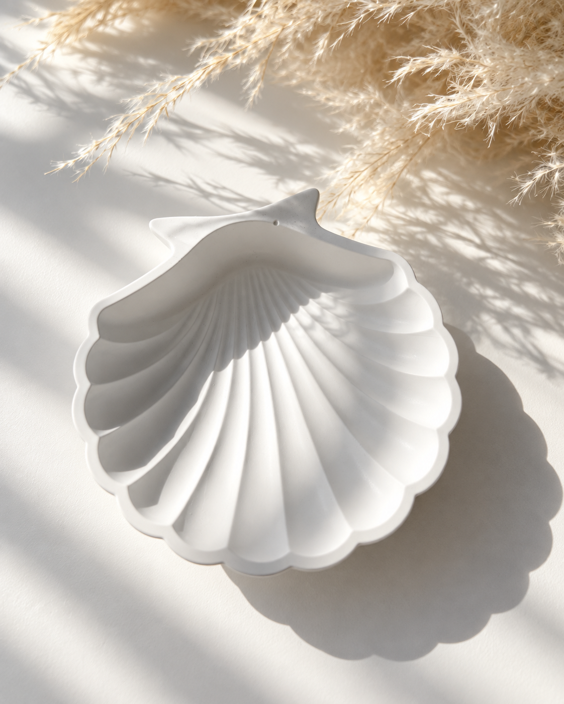 White scallop shell jewellery dish in warm natural light